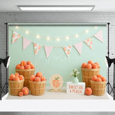 Aperturee - Aperturee Sweet As A Peach Fresh Photo Cake Smash Backdrop